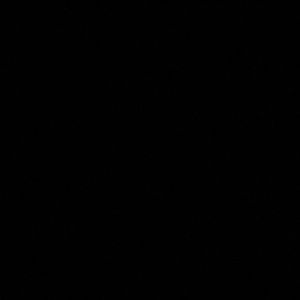 Meet your Posher, Nora